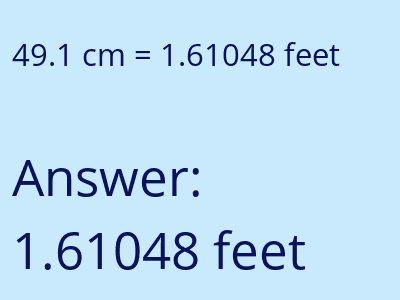 49.1 cm in feet image