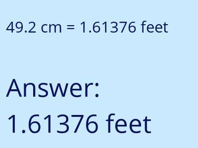 49.2 cm in feet image