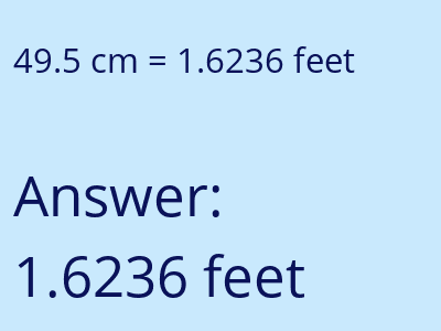 49.5 cm in feet image