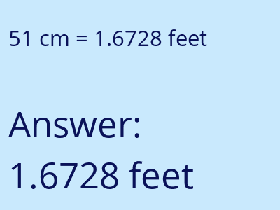 51 cm in feet image