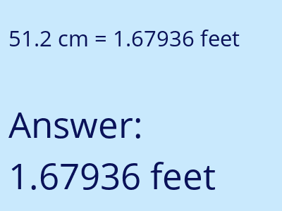 51.2 cm in feet image