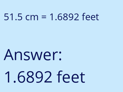 51.5 cm in feet image