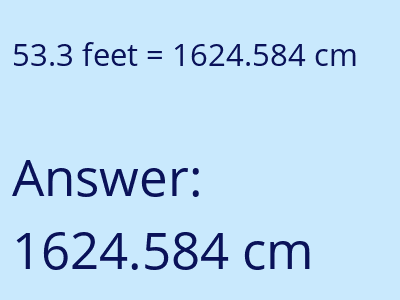 53.3 feet in cm image