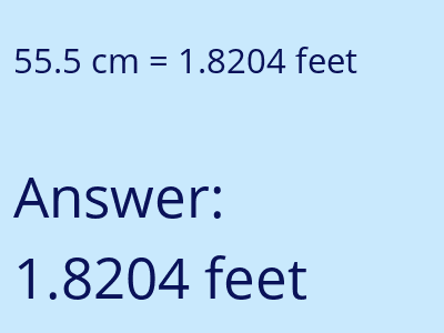 55.5 cm in feet image
