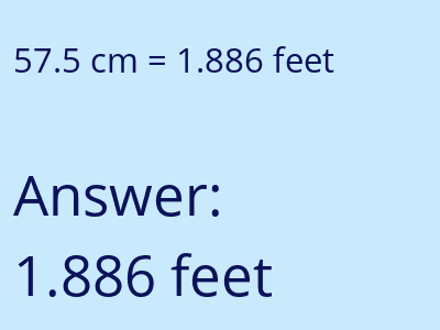 57.5 cm in feet image