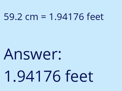59.2 cm in feet image