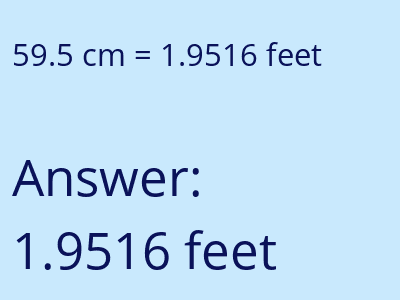 59.5 cm in feet image