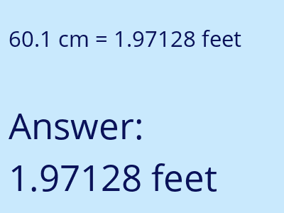 60.1 cm in feet image