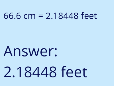 66.6 cm in feet image