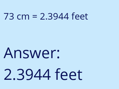 73 centimeters = 2.3944 feet answer