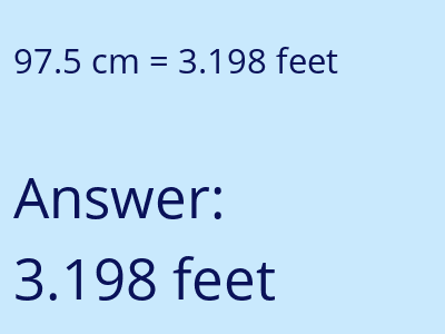 97.5 cm in feet image